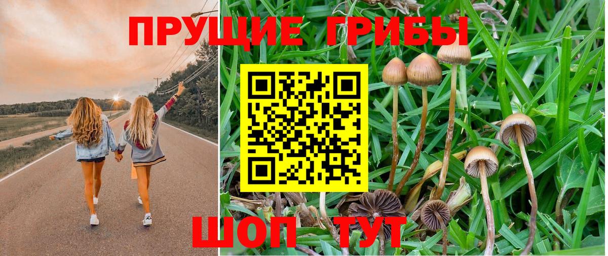 Минусинск  Псилоцибиновые грибы прущие грибы  Вход с VPN 