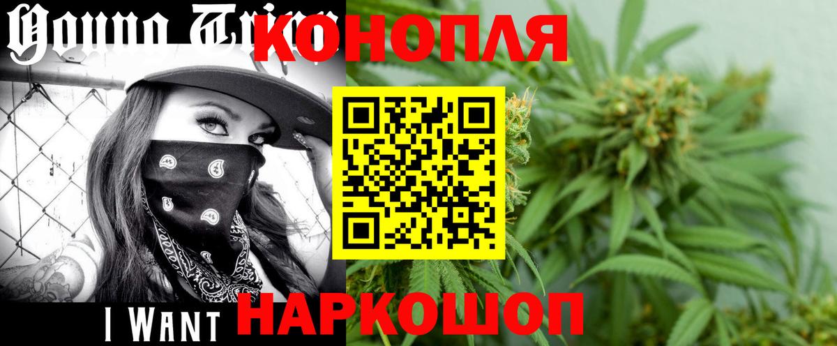 Минусинск  Конопля план  Вход с VPN  Канабис семена 